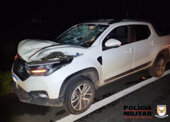 Atropelamento fatal é registrado na MG 050