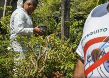 Governo promove Dia D contra dengue em todo o Brasil neste sábado (14)