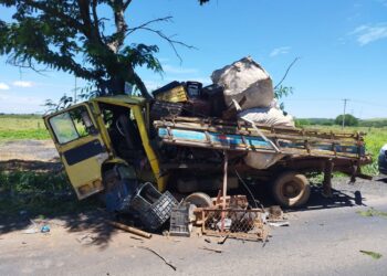 Idoso morre após caminhão ‘perder a direção’ e bater em árvore no Norte de Minas