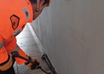 Bombeiros capturam jibóia em garagem de residência em Formiga