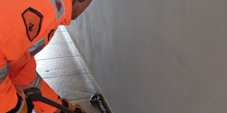 Bombeiros capturam jibóia em garagem de residência em Formiga