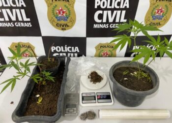 Operação Start: Polícia Civil e Militar desarticulam quadrilha de tráfico em Bom Despacho