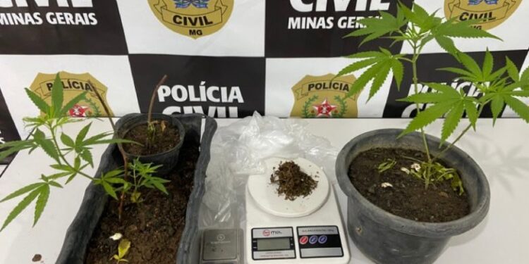 Operação Start: Polícia Civil e Militar desarticulam quadrilha de tráfico em Bom Despacho