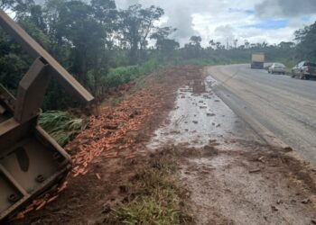 Formiguense morre após carreta tombar e cair em barranco na BR-354