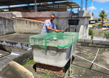 Formiga intensifica ações contra dengue antes do resultado do primeiro LIRAa de 2025