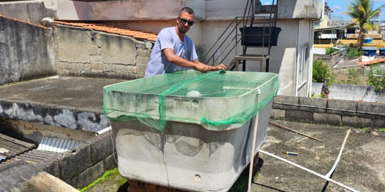 Formiga intensifica ações contra dengue antes do resultado do primeiro LIRAa de 2025