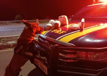 PRF apreende grande quantidade de droga em ônibus com destino a Formiga/MG