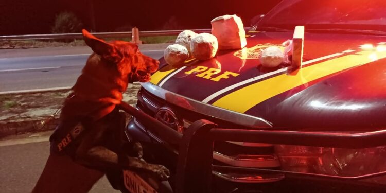 PRF apreende grande quantidade de droga em ônibus com destino a Formiga/MG