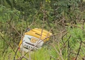 Motorista de ônibus morre e 10 pessoas ficam feridas em acidente na BR-262, em MG