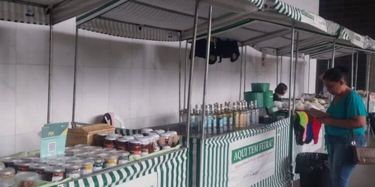 Artesãos e produtores de Córrego Fundo brilham em feira na ALMG