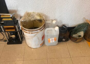 PMs de MG e SP prendem foragido de Pimenta e apreendem drogas em operação conjunta