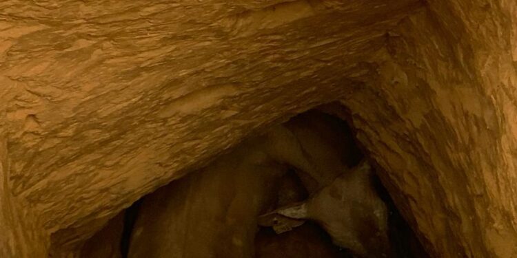 Arcos: bombeiros resgatam boi que caiu em buraco de garimpo ilegal