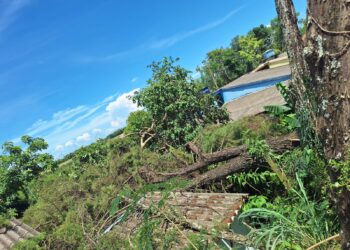 Residência é atingida por árvore durante temporal em Iguatama