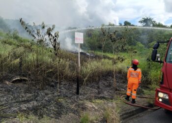 Formiga: bombeiros controlam incêndio em lote vago no bairro Serra Verde
