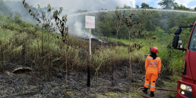 Formiga: bombeiros controlam incêndio em lote vago no bairro Serra Verde