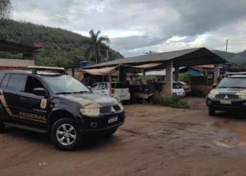 Grupo que fraudou o INSS e gerou prejuízo de R$ 7 milhões é alvo de operação da PF em MG