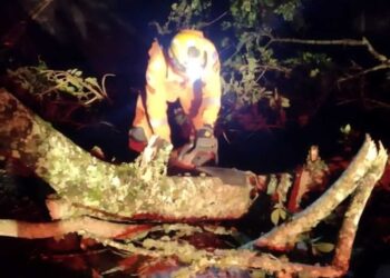 Vendaval de quase 100 km/h derruba árvores e deixa 70 mil sem energia em Juiz de Fora