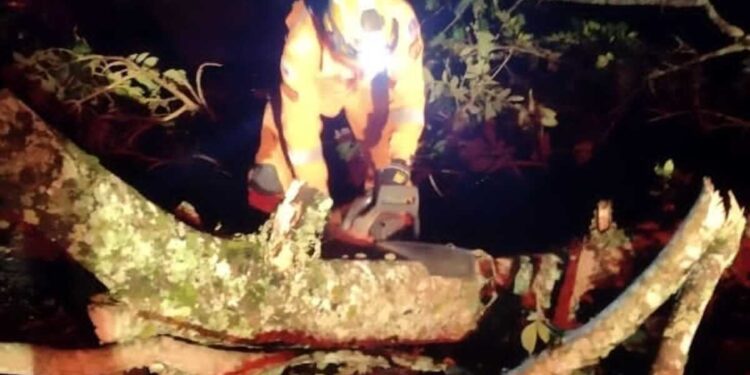 Vendaval de quase 100 km/h derruba árvores e deixa 70 mil sem energia em Juiz de Fora