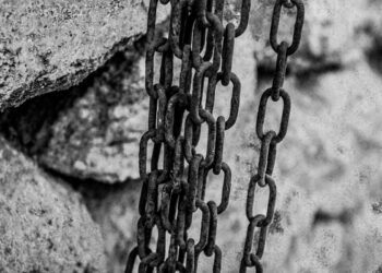 Trabalhadores que recebiam chicotadas em fazenda de Minas vão receber mais de R$ 2 milhões