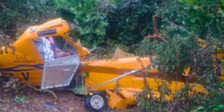 Piloto morre em queda de avião em Minas Gerais; causas são investigadas