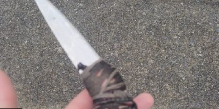 Homem que batia na mulher para deixá-la ‘feia’ é preso por guarda da lei Maria da Penha em BH