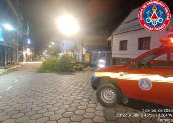 Bombeiros removem árvore caída e liberam trânsito na Avenida Abílio Machado
