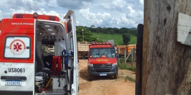 Trabalhador morre intoxicado em granja de suínos em Santo Antônio do Monte