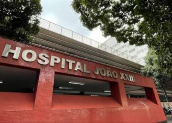 Criança de 8 anos é atacada por pitbull da família e perde parte da orelha na Grande BH