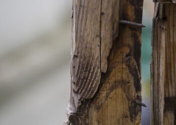 Mulher diz ter sido ameaçada de morte, pede ajuda ao namorado, e os dois matam rival a pauladas em MG