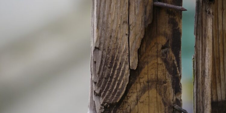 Mulher diz ter sido ameaçada de morte, pede ajuda ao namorado, e os dois matam rival a pauladas em MG