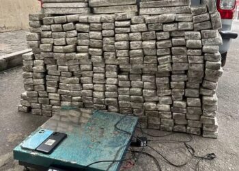 Dupla é presa com mais de 260 tabletes de maconha durante operação no Centro-Oeste de Minas