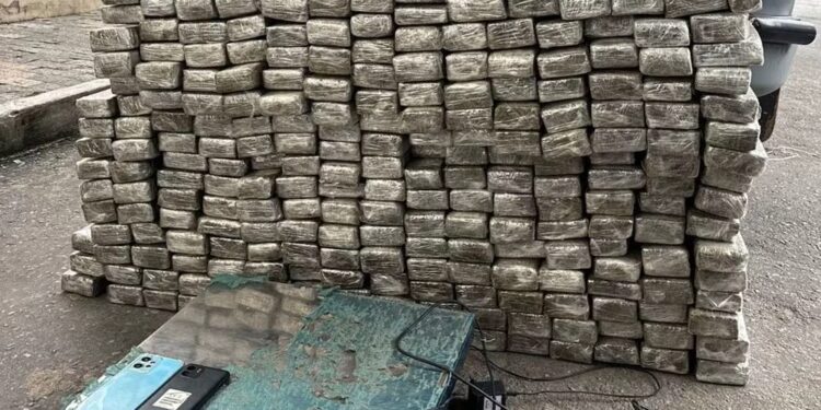 Dupla é presa com mais de 260 tabletes de maconha durante operação no Centro-Oeste de Minas