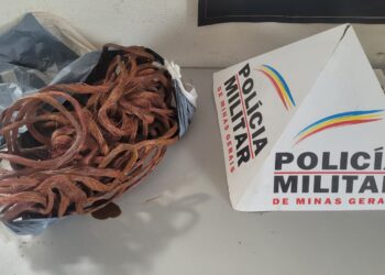 Furto e receptação de fiação no Mangabeiras: Polícia Militar prende suspeitos