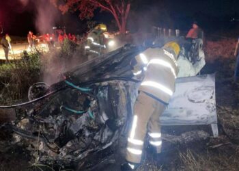 Irmãos morrem em capotamento e incêndio de carro em rodovia de MG