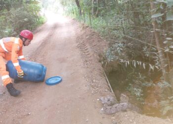Jiboia é resgatada pelo Corpo de Bombeiros em condomínio de Furnas