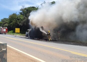 Caminhão carregado com embutidos pega fogo na MG-050, em Formiga