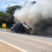 Caminhão carregado com embutidos pega fogo na MG-050, em Formiga