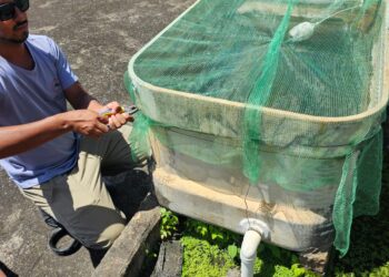 Prefeitura de Formiga convoca aprovados para vagas de operários de serviços gerais em ação contra a dengue