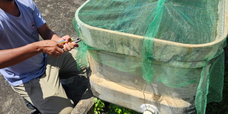 Prefeitura de Formiga convoca aprovados para vagas de operários de serviços gerais em ação contra a dengue