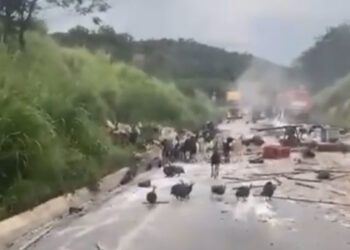 Bodes e galinhas d`angola “invadem” pista da BR-251, em Francisco Sá após tombamento de caminhão