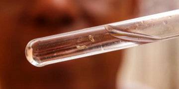 Em menos de 2 meses, casos de dengue e chikungunya passam de 10 mil em MG; são 3 mortes confirmadas