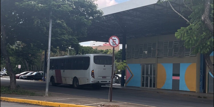 Após paralisação, ônibus da Viação Formiga voltam a circular na cidade