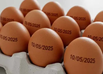 Ministério da Agricultura suspende determinação de carimbar data de validade em ovos