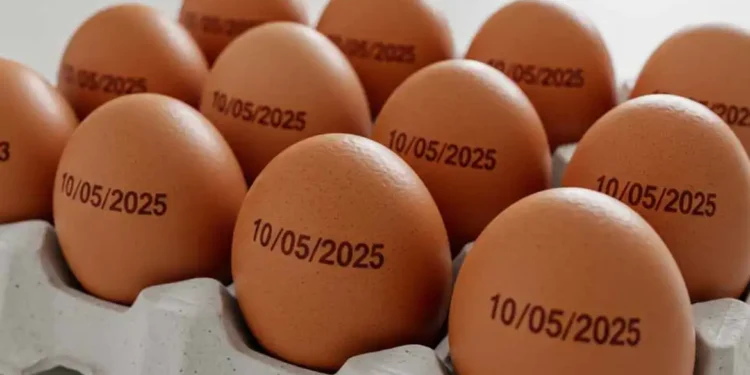Ministério da Agricultura suspende determinação de carimbar data de validade em ovos