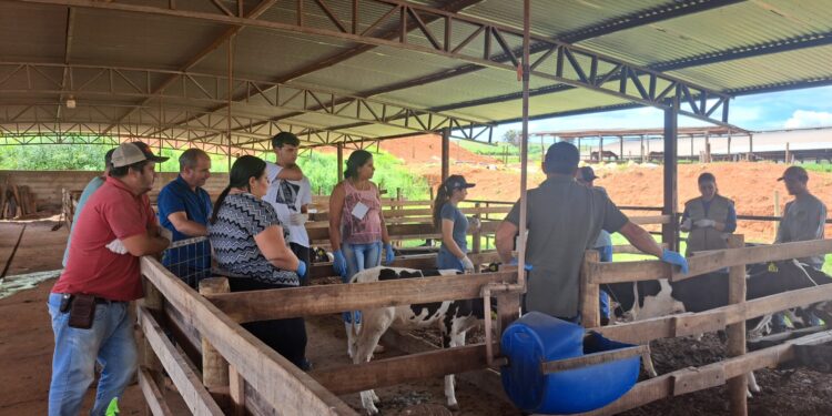 Curso de cria e recria de novilhas é realizado em Córrego Fundo