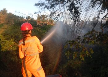 Fogo em moita de bambu interrompe acesso a residências na comunidade Papagaio