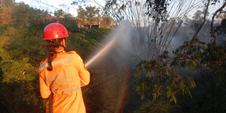 Fogo em moita de bambu interrompe acesso a residências na comunidade Papagaio