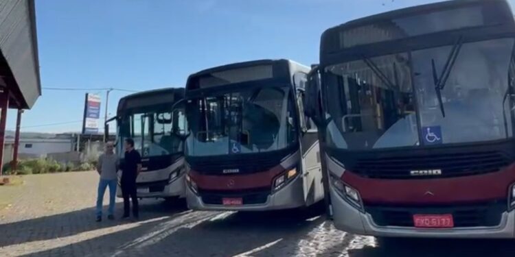 Formiga recebe novos ônibus para o transporte público com modernidade, conforto e acessibilidade