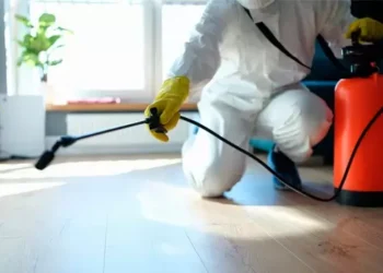 Secretaria de Cultura de Formiga anuncia cronograma de dedetização em equipamentos públicos