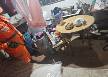 Bombeiros capturam jararaca em residência no bairro Bela Vista